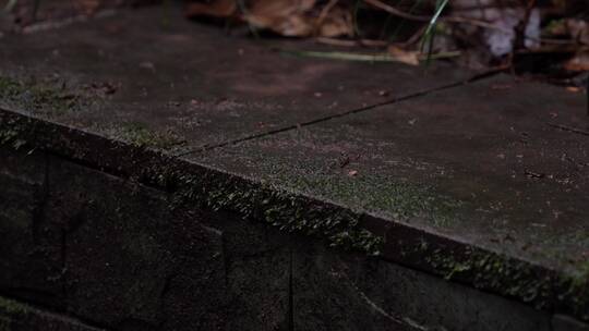 4K下雨雨滴与公园台阶青石板空镜