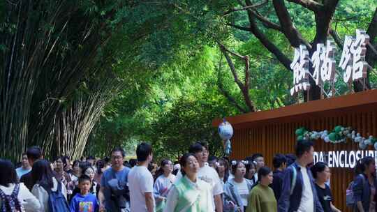 动物园熊猫馆游客行人