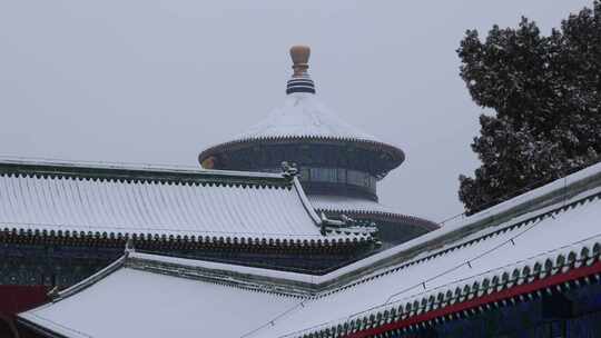雪中的北京天坛公园视频素材模板下载