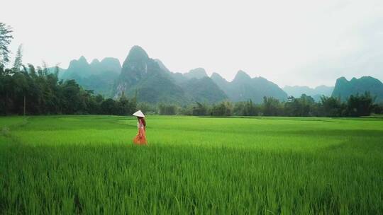 草地上散步的女人视频素材模板下载