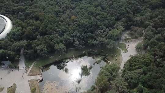 沈阳棋盘山登山口 树林中池塘边