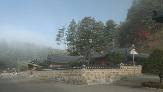 韩国五台山月精寺深秋晨景 院墙寺庙 雾气视频素材模板下载