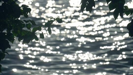 波光粼粼的湖边河水光斑升格慢镜头视频素材