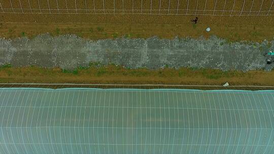 盛夏的蔬菜大棚