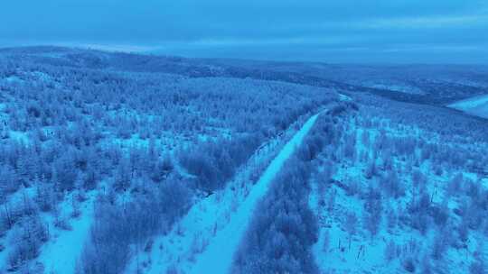 小寒时节的大兴安岭雪景雾凇雪松银装素裹