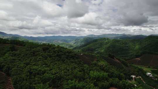 乡村振兴 美丽乡村