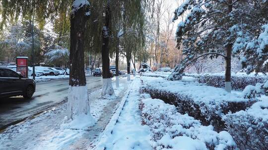 唯美冬季雪景