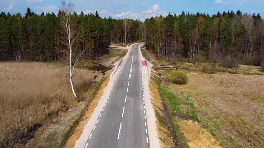 森林中道路的鸟瞰图