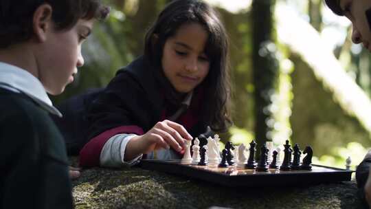 孩子们在树林里下棋