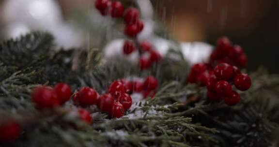 暴雪天掉落的红野果