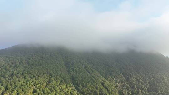 山峰云雾缭绕云海航拍雨后山上雾气森林风景