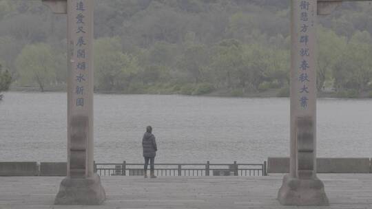 湘湖春天雨后实拍素材