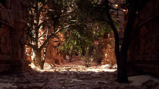 一条狭窄的小巷，两边都是树木和岩石