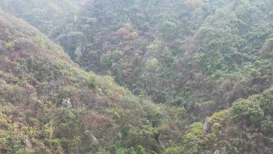 航拍秦岭秋天景色 秦岭 秋季