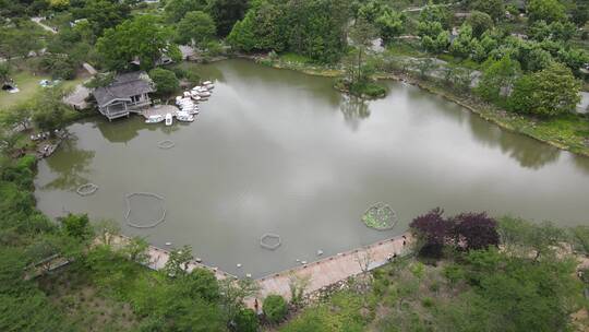 上海植物园航拍品种绿色植被4K航拍