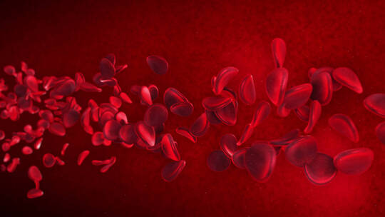 病毒 细胞 细菌 红细胞 血管内视频素材模板下载