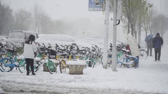 城市大雪