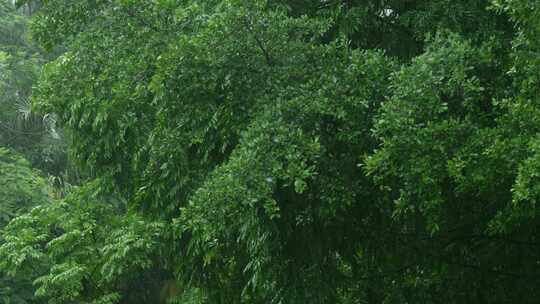 下雨天雨滴雨水