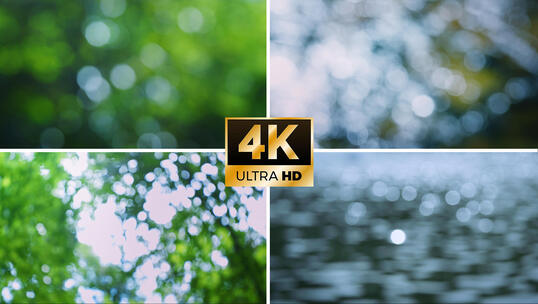 夏天树影光斑 逆光唯美光斑意境舞台背景