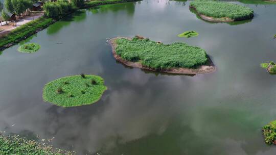 喜洲污水处理净化湿地航拍小岛视频素材模板下载