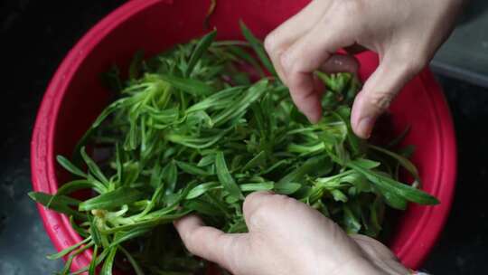 野菜面条菜美食绿色健康食物