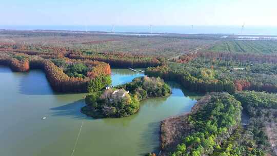 上海奉贤海湾国家森林公园  奉贤湿地公园