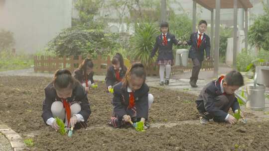 唯美小学生校园农场菜园绿色阳光生态课淋菜