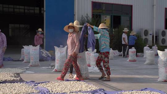 孝感米酒视频素材模板下载