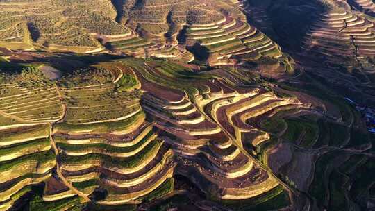 宁夏梯田