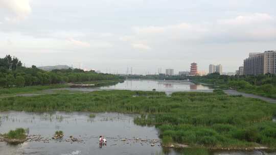 河道风景4k视频