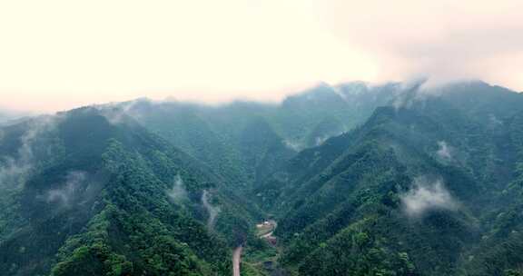 广西山区竹林竹海竹山云海翻滚航拍