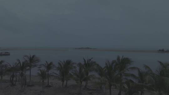 椰子树 大海  沙滩 灯塔天地水平线