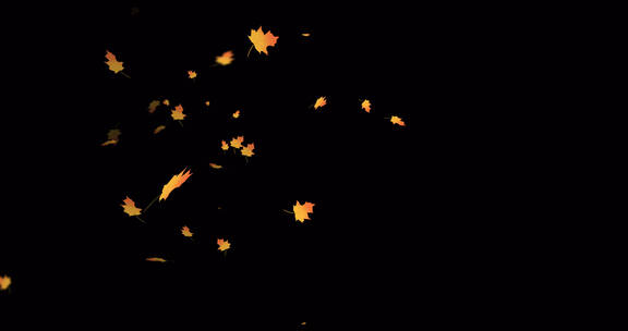 枫叶 落下 落叶粒子
