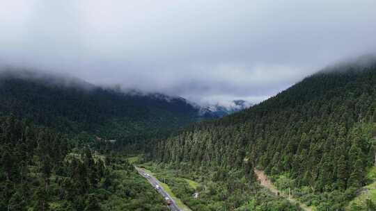 山间云雾缭绕处的公路及茂密森林景观