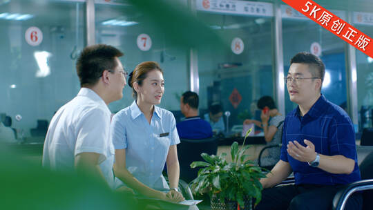 银行职员金融洽谈服务客户金融机构银行洽谈高清在线视频素材下载