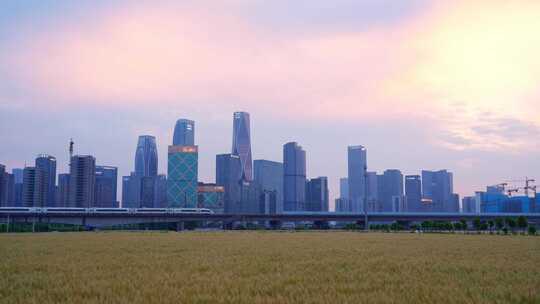 杭州城市建筑与麦田高铁同框风景