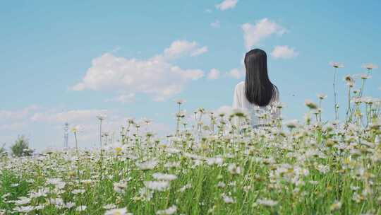 升格唯美的少女与花海