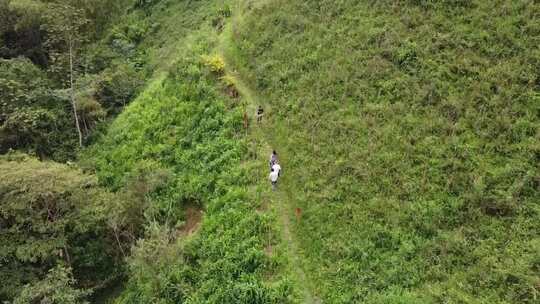 安第斯山脉森林山谷的无人机视图