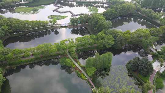 武汉东西湖金银湖湿地公园航拍