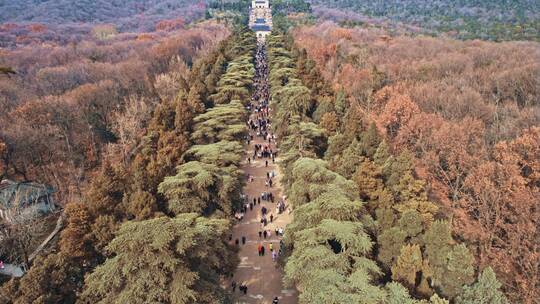 航拍冬天的南京钟山中山陵