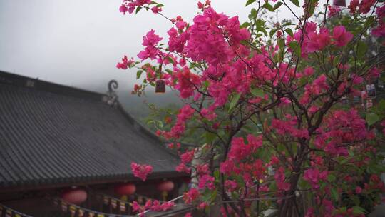 杭州上天竺法喜讲寺风景