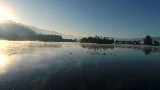 早晨，城里湖面上有一群野鸭