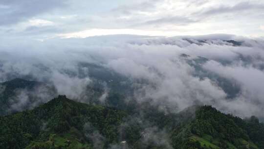 大雾清晨云雾大山云海森林自然云山脉山区