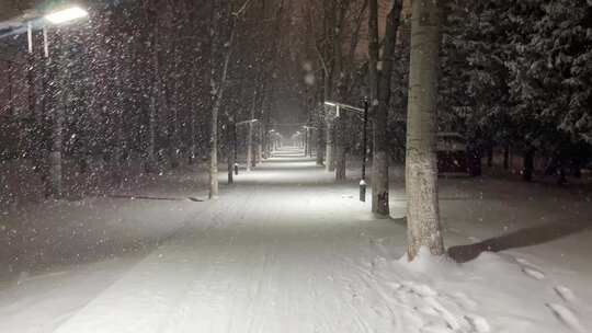 北京夜晚路灯旁下雪