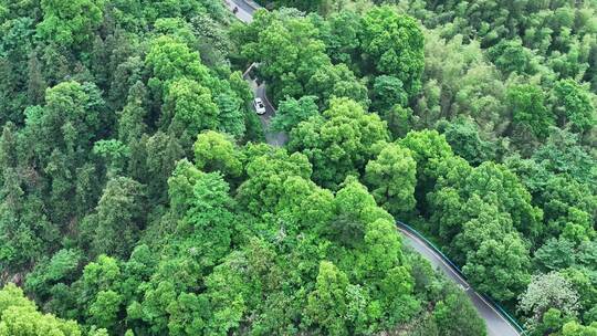 航拍汽车行驶在盘山公路