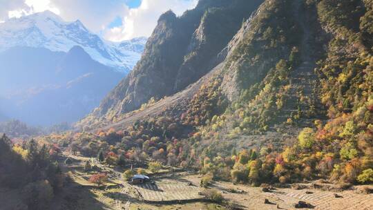 藏区仙境梅里雪山森林航拍高清4k素材视频素材模板下载