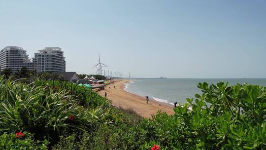 海边l绿植沙滩风力发电大风车