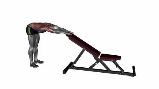 人体背部拉伸动态健身运动锻炼肌肉3D演示视频素材模板下载