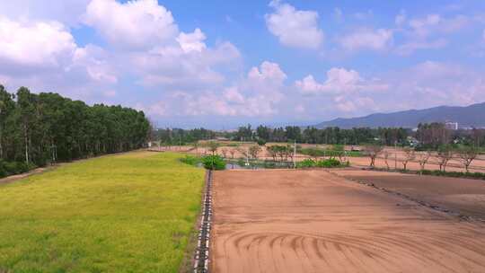 田野农田自然风光全景