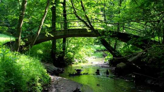 林中小桥流水高清视频素材